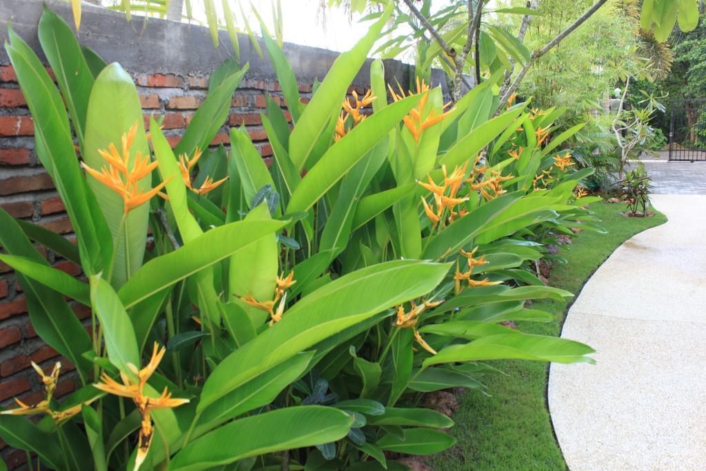 Albany Home Stay Kuta  Екстер'єр фото